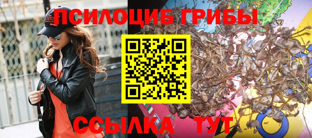 Галлюциногенные грибы мухоморы Горно-Алтайск