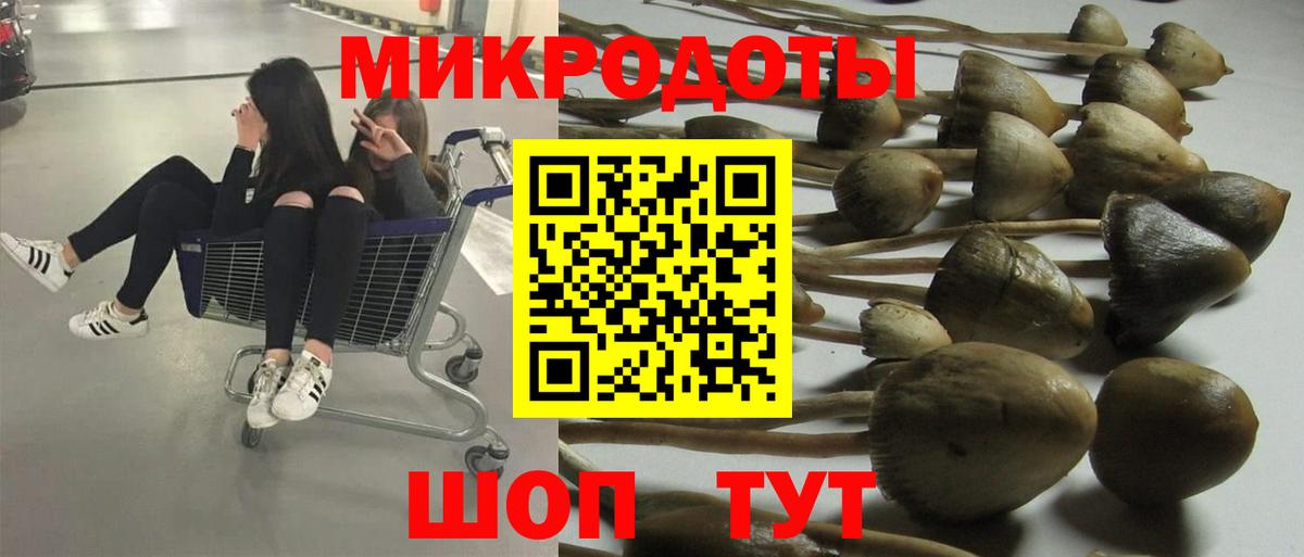 где купить наркотик  Галлюциногенные грибы MAGIC MUSHROOMS  Вход с VPN  Горно-Алтайск 