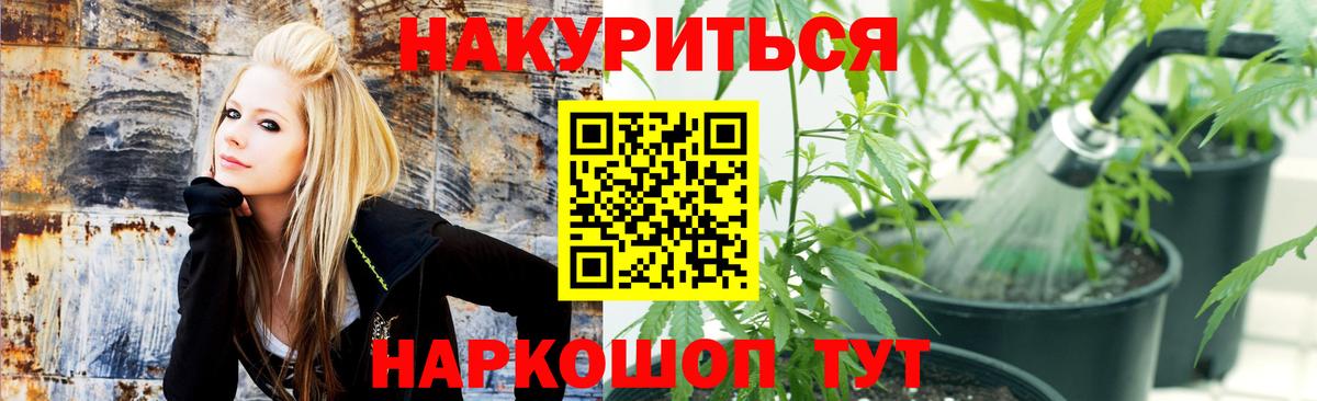 Каннабис LSD WEED  Вход с VPN  Горно-Алтайск  Конопля гибрид  Шишки марихуана THC 21% 